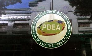 Image result for PDEA Academy Logo