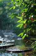 Image result for Pic of Rain