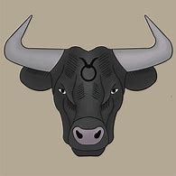 Image result for Taurus Bull Pics