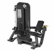 Image result for Seated Leg Extension Exercise