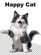 Image result for Happyy Cat