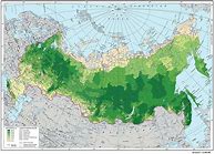 Image result for Russia Forest Map