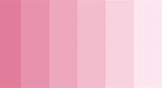 Image result for Blush Pink Pattern