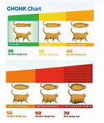 Image result for Cat Weight Chart Chonk