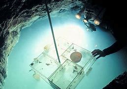 Image result for Movile Cave