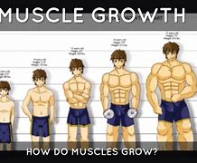 Image result for Muscle Growth Growing