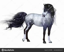 Image result for Blue Roan Paint