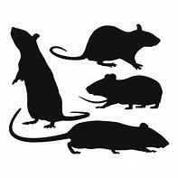 Image result for Halloween Rat Silhouette