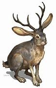 Image result for Mythical Rabbit