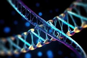 Image result for DNA Art 2D