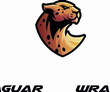 Image result for Jaguar Wrap