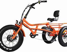 Image result for 3 Wheeler Electric Bike