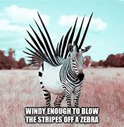 Image result for Windy Chicken Meme