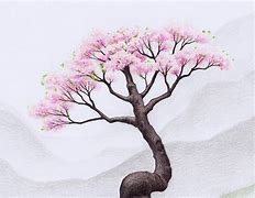 Image result for Sweet Sakura Tree