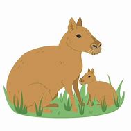 Image result for Mara Animal Cartoon