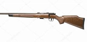 Image result for Old Hunting Rifle