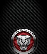 Image result for Jaguar Logo Medieval