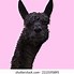 Image result for Llama Jaw