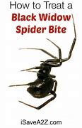 Image result for A Black Widow Spider Bite