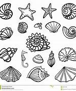 Image result for Free Sea Shells Picture