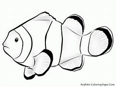 Image result for Clownfish Template