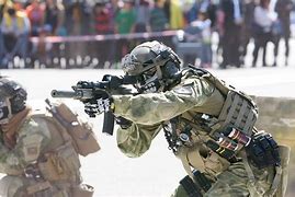 Image result for HK 416 American