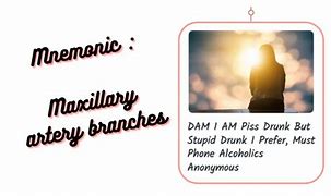 Image result for Maxillary Artery Mnemonic