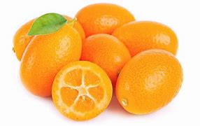 Image result for Where to Purchase Kumquat Fruit