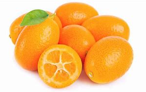 Image result for Kumquat Like Fruit