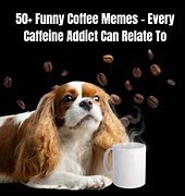 Image result for Funny Coffee Memes Quotes