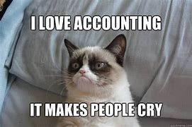 Image result for Accounting Memes Misconceptions