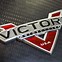 Image result for Victory Motorcycle Skull Logo