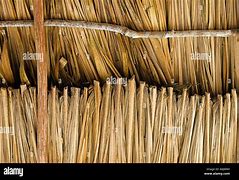 Image result for Palm Thatch Roof