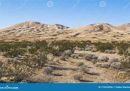 Image result for Mojave Desert Rain