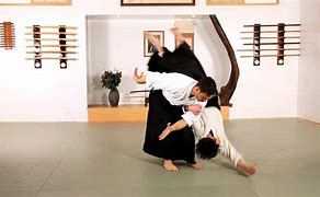 Image result for Image of Aikido