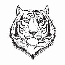 Image result for Cute Tiger Line Art