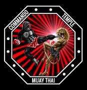 Image result for Muay Thai Classes