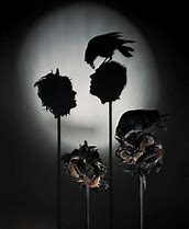 Image result for Trash Shadow Art