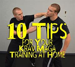 Image result for Krav Maga Kick