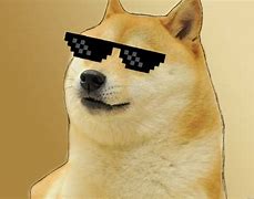 Image result for doge meme cute