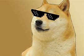 Image result for 2 Doge Meme