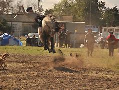 Image result for Person Riding Horse