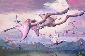 Image result for Baby Aerodactyl