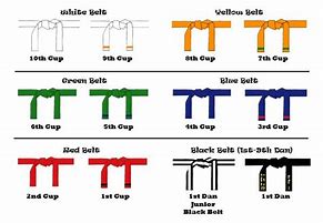 Image result for Belts in Taekwondo