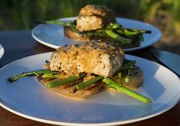 Image result for Barracuda Eating