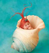 Image result for Anne Geddes Baby Photos