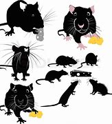 Image result for Cartoon Rat Vector