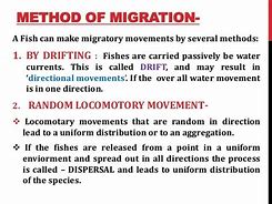 Image result for Migration of Fishes