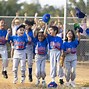 Image result for Baseball Team Logo T