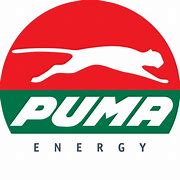 Image result for Puma Energy Logo